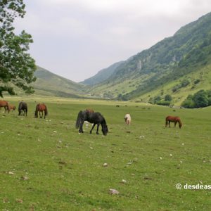 Valle de Viango