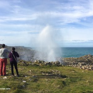 Bufón en Llanes